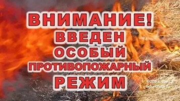 Пожарная безопасность. Особый пожароопасный режим Пожарная безопасность. Особый пожароопасный режим.