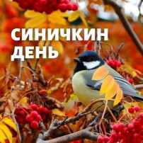 Экологический день в детском саду- Синичкин день Экологический день в детском саду- Синичкин день.