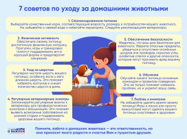 30 ноября - День домашних животных! 30 ноября - День домашних животных!.