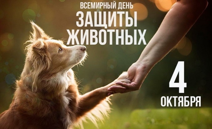 4 октября в России отмечался Всемирный день защиты животных! 4 октября в России отмечался Всемирный день защиты животных!.